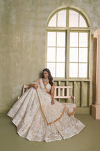 Aastha Fashion White Butterfly Net White Cotton Thread Work And Sequence Work Embroidery Wedding Wear Lehenga Choli | Grocsy