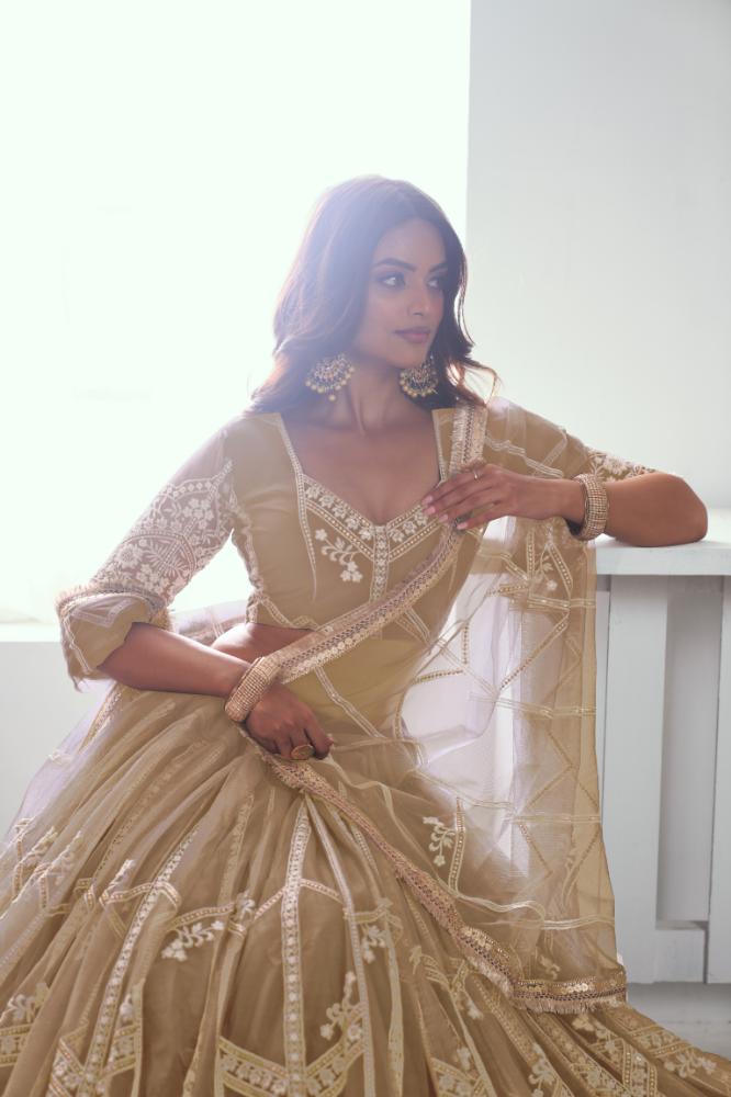 Aastha Fashion Chiku(Beige) Butterfly Net White Cotton Thread Work And Sequence Work Embroidery Wedding Wear Lehenga Choli | Grocsy