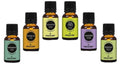 Earth N Pure Essential Oils (Peppermint, Sweet Orange, Eucalyptus, Tea tree, Lavender & Rosemary) | Grocsy