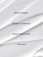 Mizon Collagen Power Lifting Toner | Grocsy