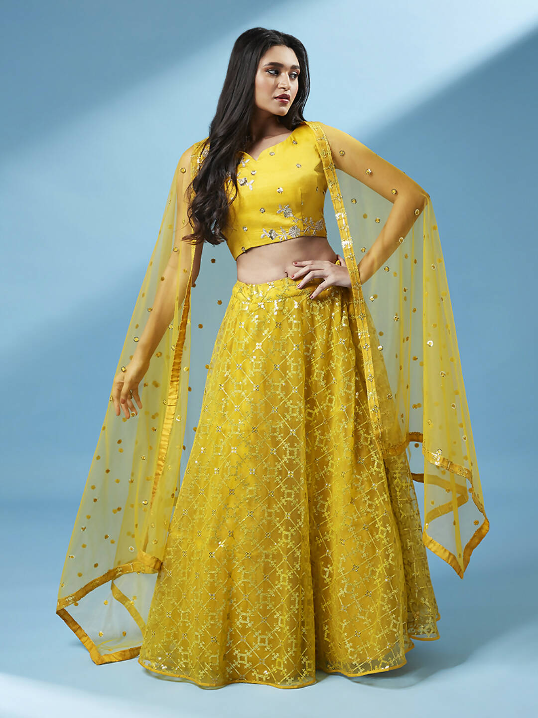 House of Panchhi Mustard Net Sequinse Work Lehenga & Blouse, Dupatta | Grocsy