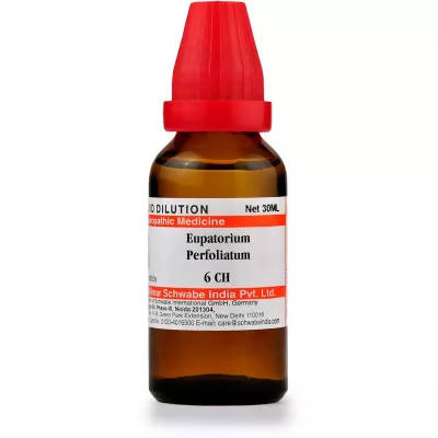 Dr. Willmar Schwabe India Eupatorium Perfoliatum Dilution | Grocsy