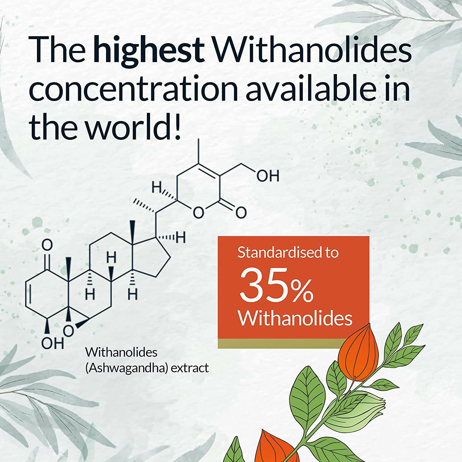 Yogic Secrets Ashwagandha Capsules | Grocsy