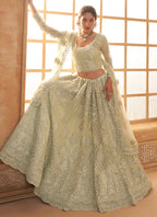 Vegaa Fashion Light Green Net Thread Work Wedding Lehenga | Grocsy