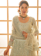 Vegaa Fashion Light Green Net Thread Work Wedding Lehenga | Grocsy