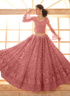 Vegaa Fashion Peach Net Thread Work Wedding Lehenga | Grocsy