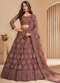 Vegaa Fashion Brown Net Embroidery Designer Lehenga Choli | Grocsy