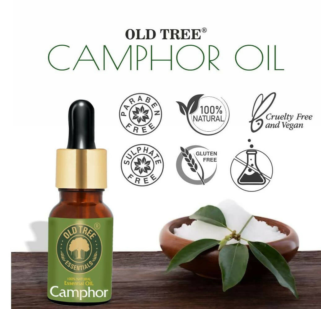 Old Tree Camphor Essential Oil | Grocsy