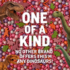 Confect Dino Sprinkles Multipack  04 | Grocsy