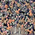 Confect Dino Sprinkles for Decorations 05 | Grocsy