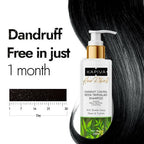 Kapiva Ayurveda Hair Rituals Neem Triphaladi Shampoo for Dandruff Control | Grocsy
