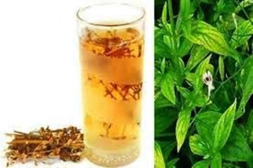 Organicgreen Herb Chirayta (Dry) | Grocsy