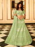 Myra Pista Green Organza Embroidered Lehenga Choli | Grocsy
