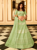 Myra Pista Green Organza Embroidered Lehenga Choli | Grocsy