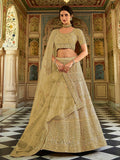 Myra Wedding Wear Pista Organza Embroidered Lehenga Choli | Grocsy