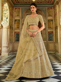 Myra Pista Organza Embroidered Lehenga Choli | Grocsy