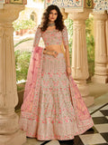 Myra Beautiful Dusty Pink Organza Embroidered Lehenga Choli | Grocsy
