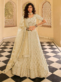 Myra Beige Organza Embroidered Lehenga Choli | Grocsy