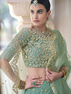 Myra Pista Net Embroidered Lehenga | Grocsy