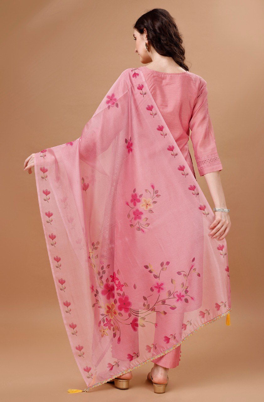 Prazu Fashion Preach Chanderi Silk Chikankari Bored Salwar Suit | Grocsy