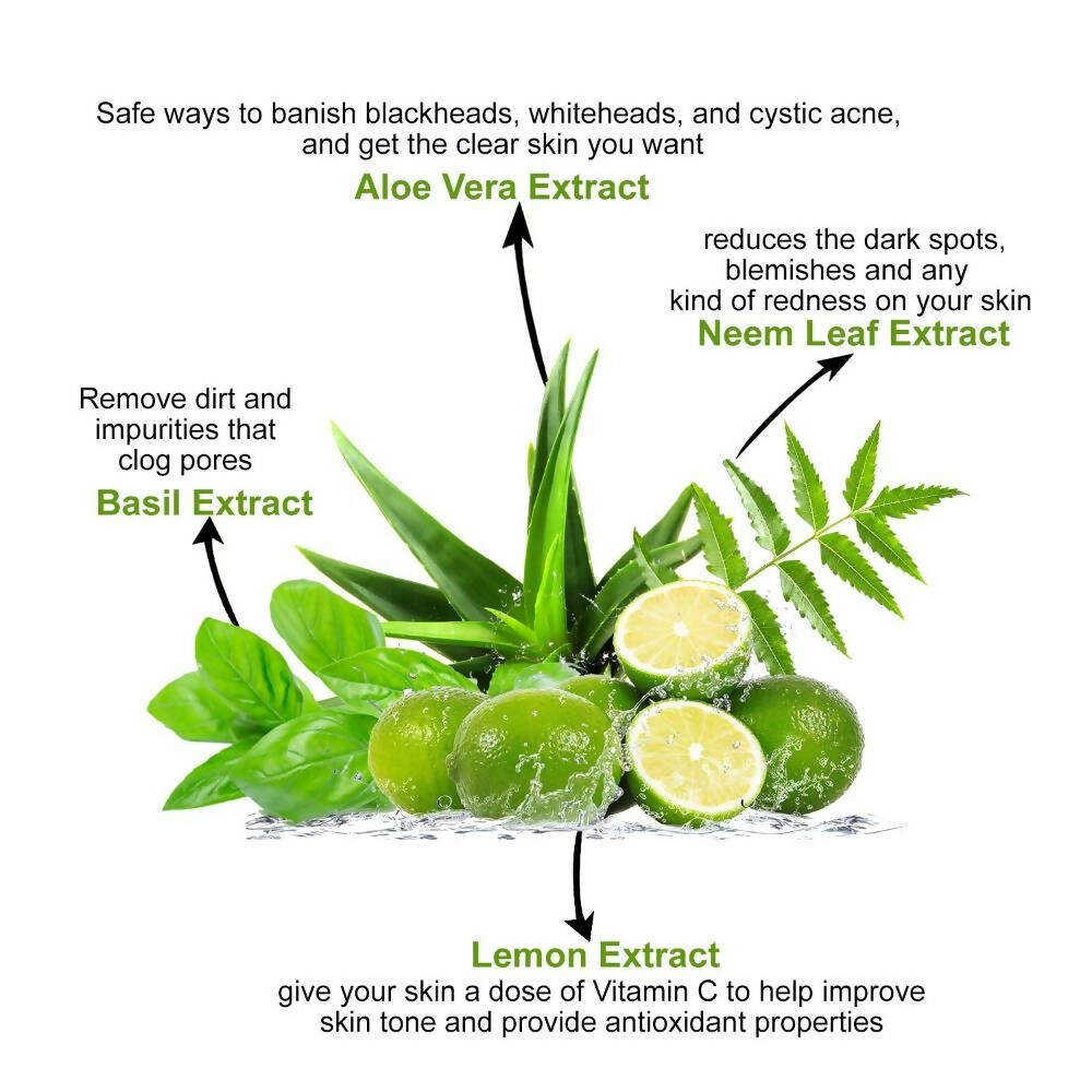 Astaberry Neem & Aloe Face Wash with Lemon & Basil Extracts | Grocsy