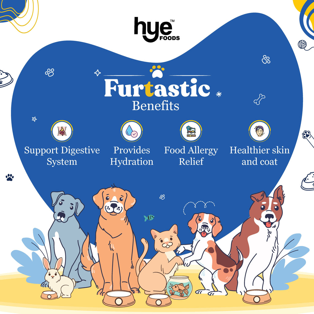 Hye Pets Goat Milk Powder For Pets | Grocsy