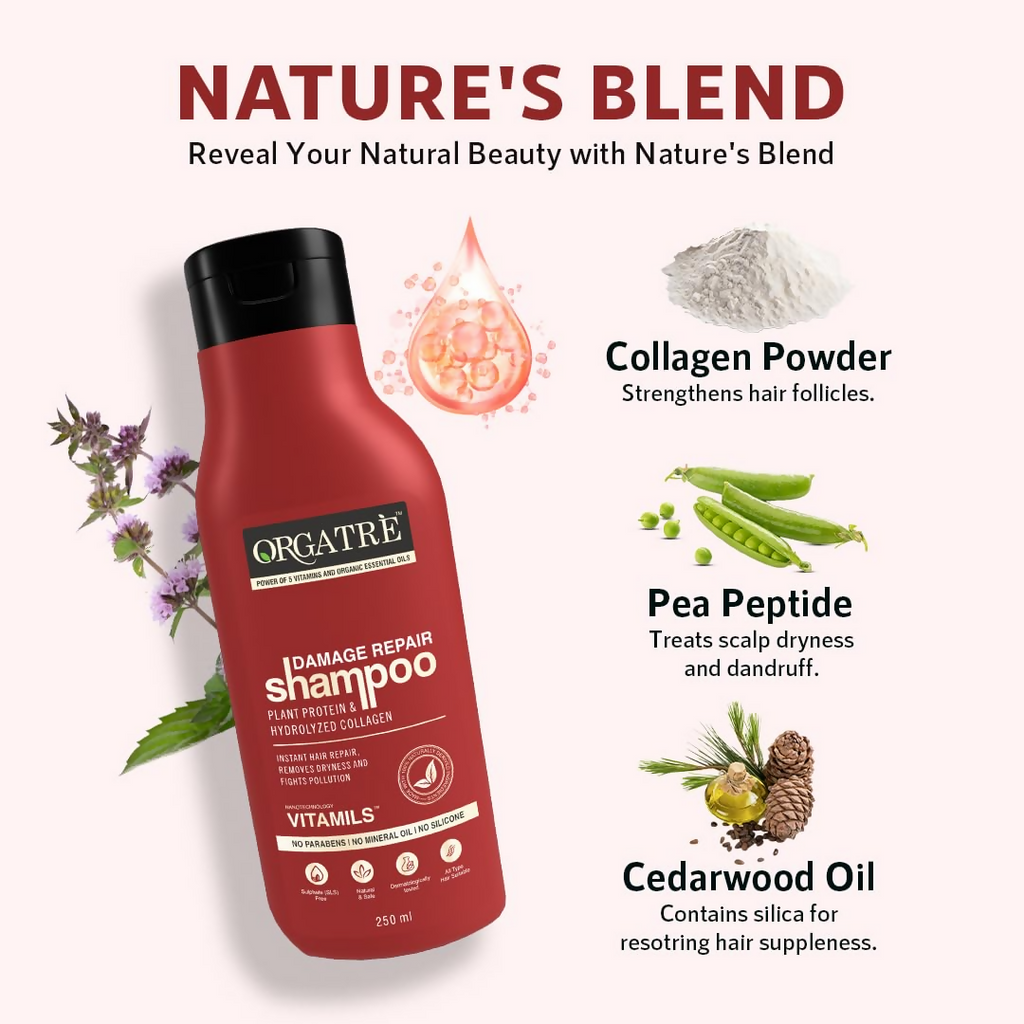 Orgatre Damage Repair Shampoo For Women & Men For Rough Dull & Damaged Hair With Protein & Hydrolyzed Collagen | Grocsy