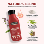Orgatre Damage Repair Shampoo For Women & Men For Rough Dull & Damaged Hair With Protein & Hydrolyzed Collagen | Grocsy