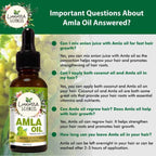 Luxura Sciences Amla Oil | Grocsy