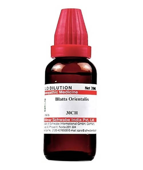Dr. Willmar Schwabe India Blatta Orientalis Dilution | Grocsy