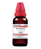 Dr. Willmar Schwabe India Blatta Orientalis Dilution | Grocsy