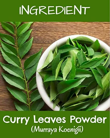 Mr Ayurveda Curry Leaves Powder | Grocsy