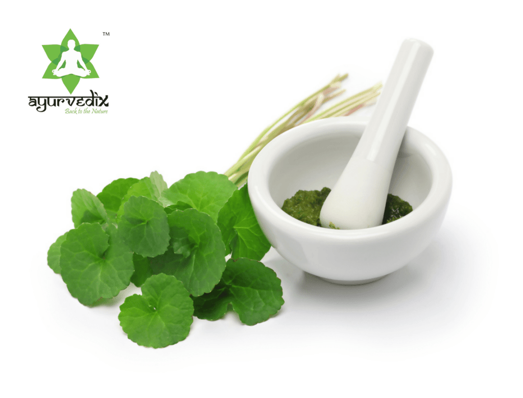 Ayurvedix Organic Gotu Kola Leaf Extract Powder | Grocsy