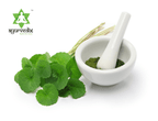 Ayurvedix Organic Gotu Kola Leaf Extract Powder | Grocsy
