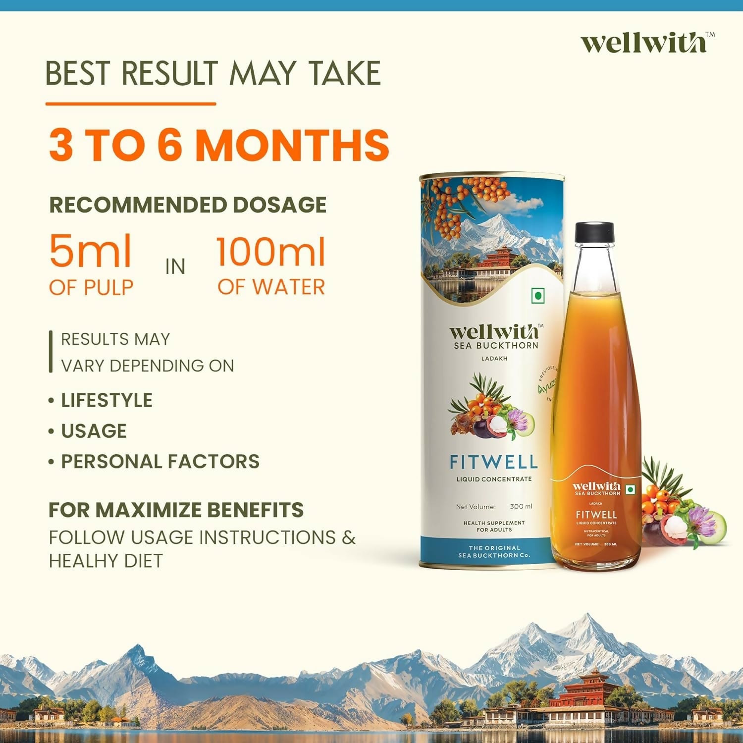 Wellwith Fitwell Juice – Himalayan Sea Buckthorn + Garcinia, Kokum & Punarnava | Grocsy
