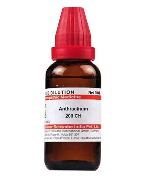 Dr. Willmar Schwabe India Anthracinum Dilution | Grocsy