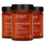 Jiva Ayurveda Aam Pachak Churna | Grocsy