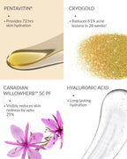 AreoVeda Acne Care Ritual | Grocsy