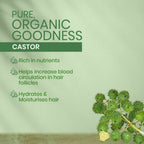 Kesh King Organics Castor Shampoo | Grocsy