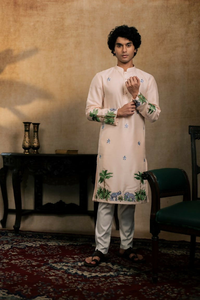 Falling Raw Silk Peach Gajavana Kurta Set By Hilo Design | Grocsy