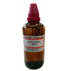Dr. Willmar Schwabe India Arnica Montana Dilution | Grocsy