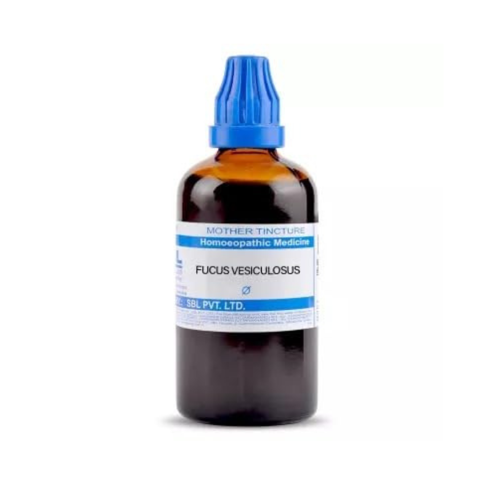 SBL Homeopathy Fucus Vesiculosus Mother Tincture Q | Grocsy