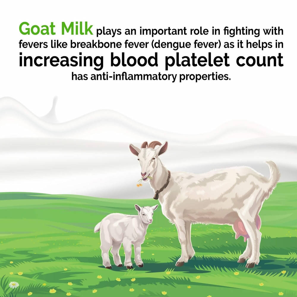 Aadvik Goat Milk Powder (200 Gm) | Grocsy
