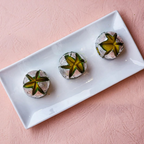 Gwalia Sweets Kamal Bhog | Grocsy