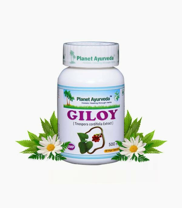 Planet Ayurveda Giloy Capsules | Grocsy