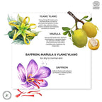 Juicy Chemistry Saffron, Marula & Ylang Ylang Face Wash For Dry | Grocsy