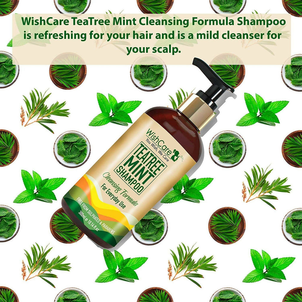 Wishcare Tea Tree Mint Shampoo | Grocsy
