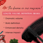 Parul Garg Beauty High Volume Mascara | Grocsy
