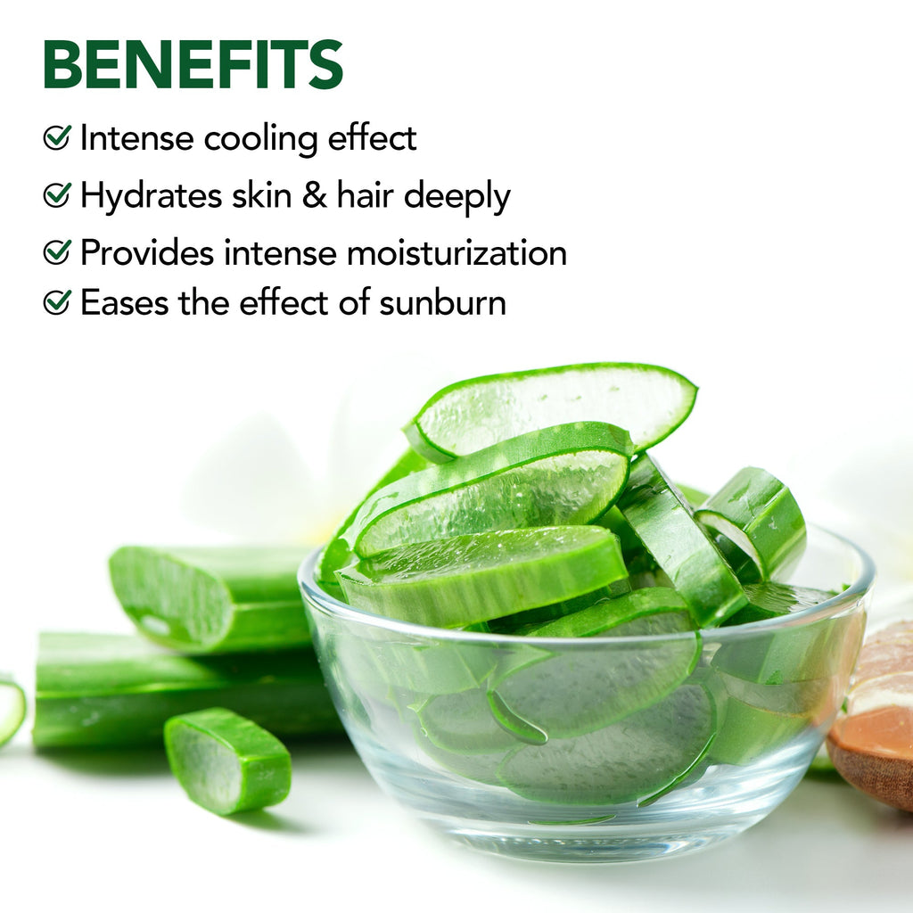 Botanic Hearth Aloe Vera Aloe Anytime Gel | Grocsy
