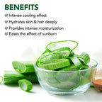 Botanic Hearth Aloe Vera Aloe Anytime Gel | Grocsy